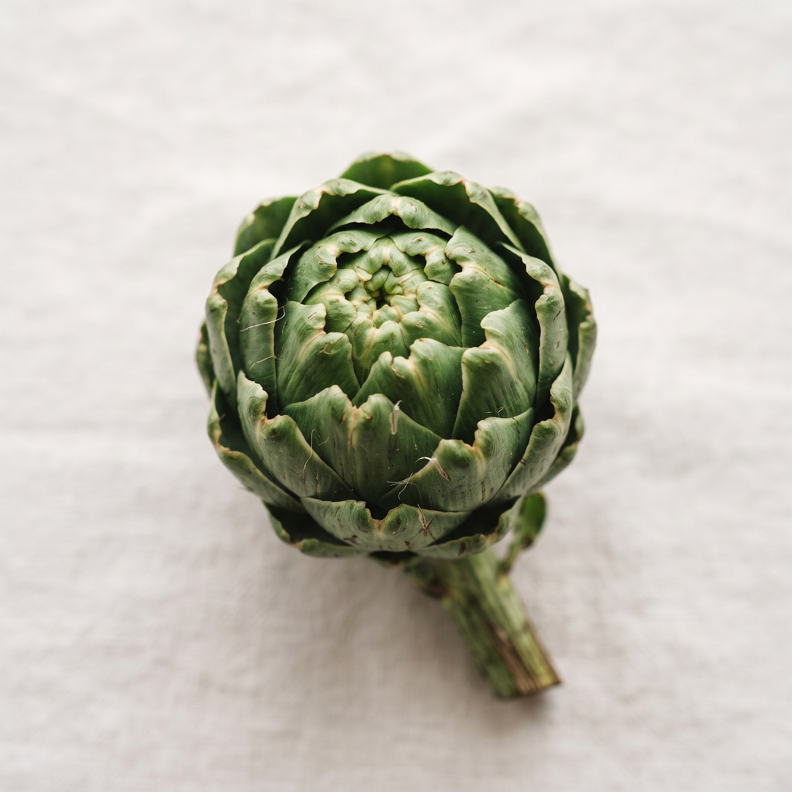 Artichoke