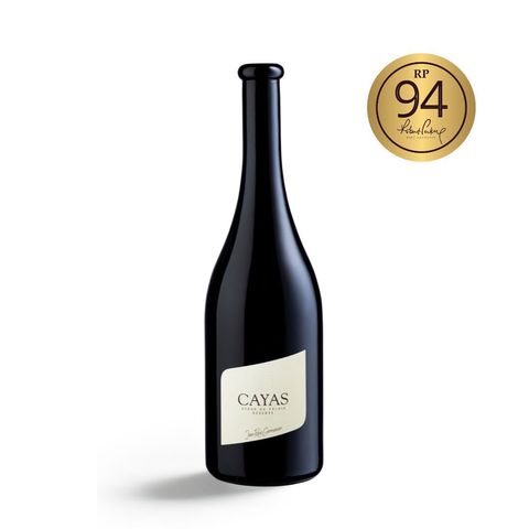 Jean-René Germanier · Cayas Syrah Réserve · 2021